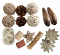 Bamboo Foraging Selection Box