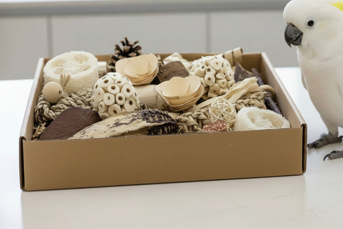 Bamboo Foraging Selection Box
